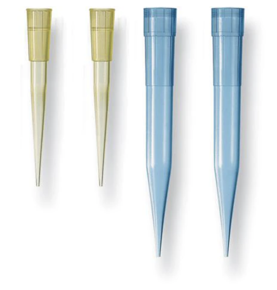 Pipette Tips (Racked & Bulk)